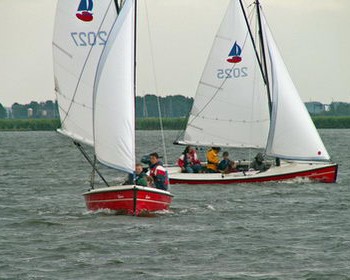 Valk huren in Sneek, Sneekermeer